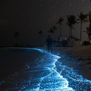 Maldives night wallpaper