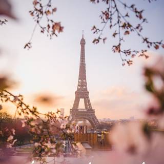 Paris phone wallpaper