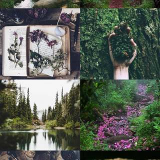 Nature collage wallpaper
