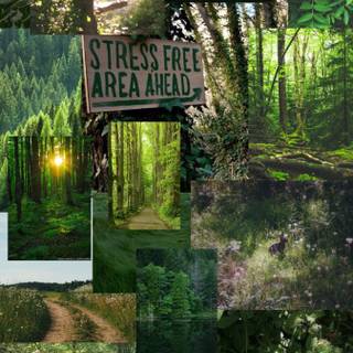 Nature collage wallpaper