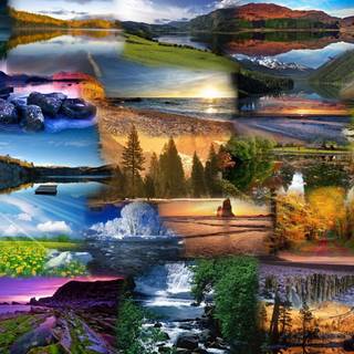 Nature collage wallpaper