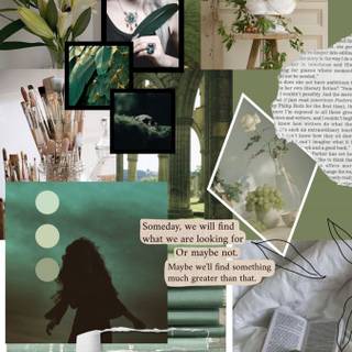 Nature collage wallpaper