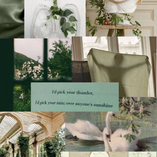 Nature collage wallpaper