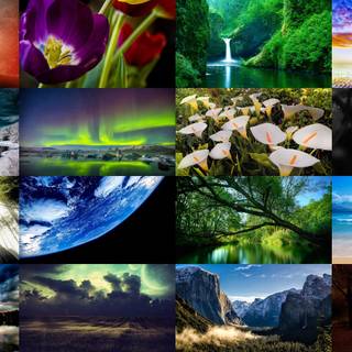 Nature collage wallpaper