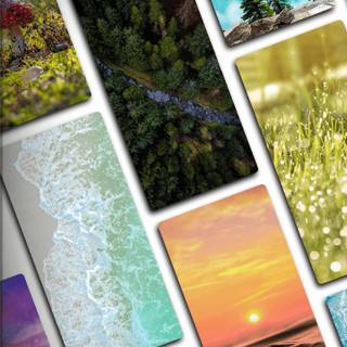 Nature collage wallpaper