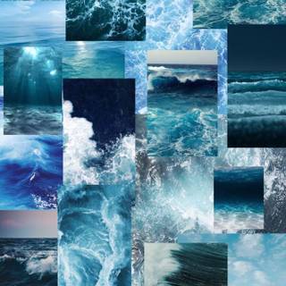 Nature collage wallpaper