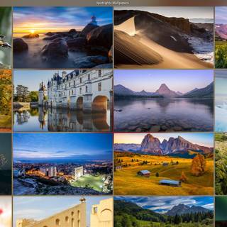 Nature collage wallpaper