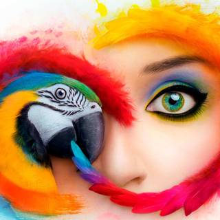 Adobe After Effects wallpaper