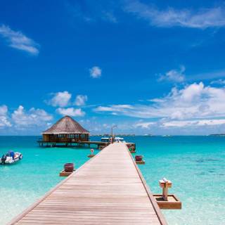 Beach pier wallpaper