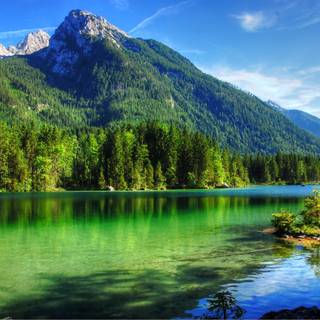 Summer pull wallpaper