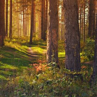 Landscape summer 4k wallpaper