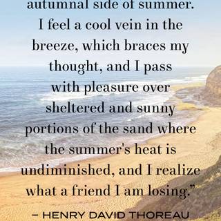 Happy summer sayings wallpaper