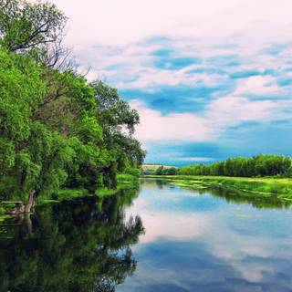 River summer wallpaper