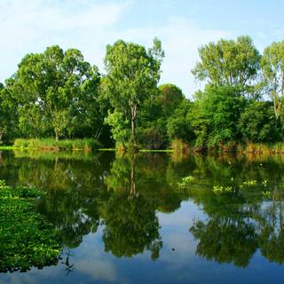 River summer wallpaper