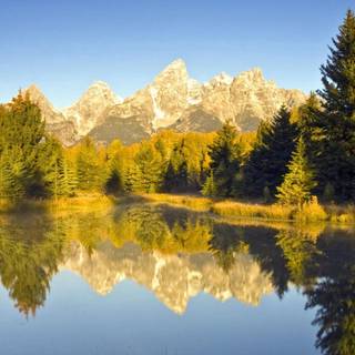 River summer wallpaper