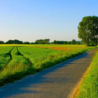 Cool summer landscapes wallpaper