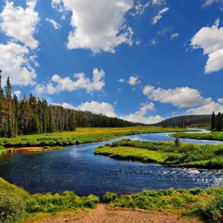 River summer wallpaper