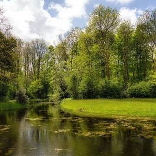 River summer wallpaper