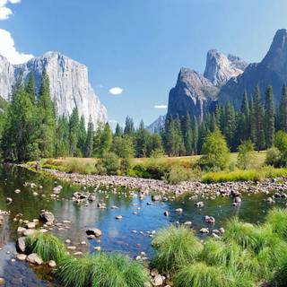 River summer wallpaper