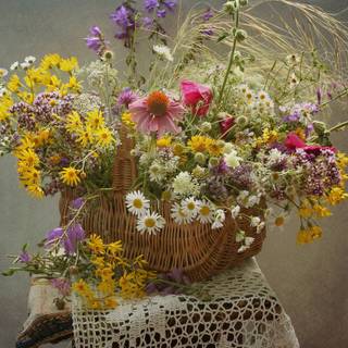 Summer basket wallpaper