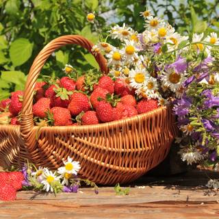 Summer basket wallpaper