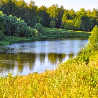 River summer wallpaper