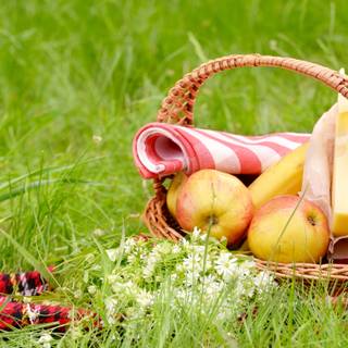 Summer basket wallpaper