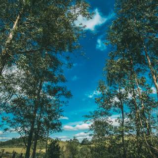 Landscape summer 4k wallpaper