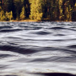 River summer wallpaper