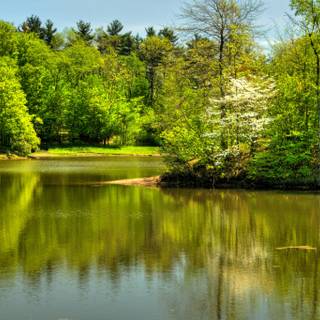 River summer wallpaper