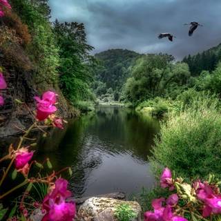 River summer wallpaper