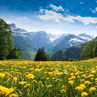 Landscape summer 4k wallpaper