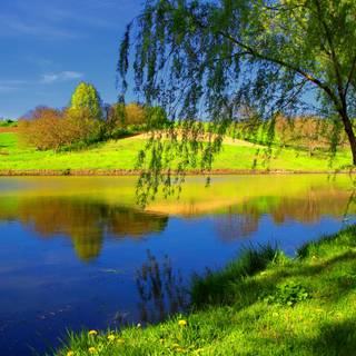 River summer wallpaper