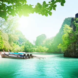 River summer wallpaper