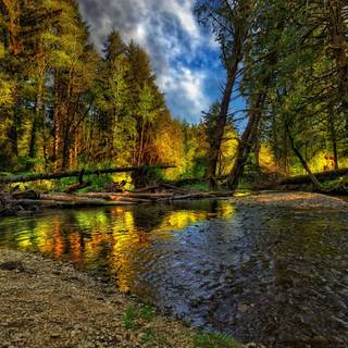 River summer wallpaper