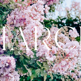 Spring life desktop wallpaper