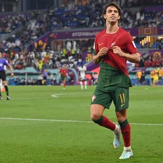 Joao Felix 2023 Portugal wallpaper