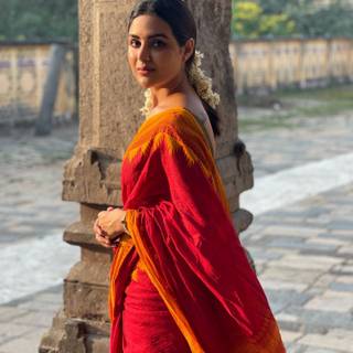 Chidambaram wallpaper