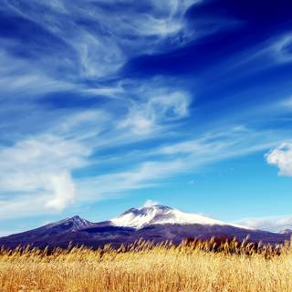 Spring sky wallpaper