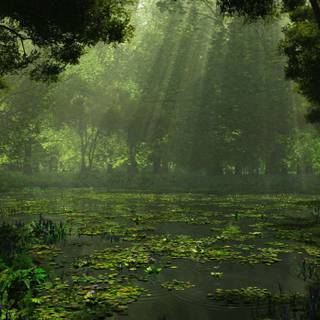 Digital forest wallpaper