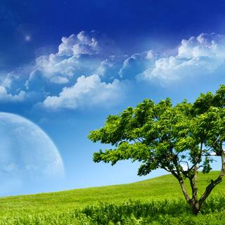 Spring sky wallpaper