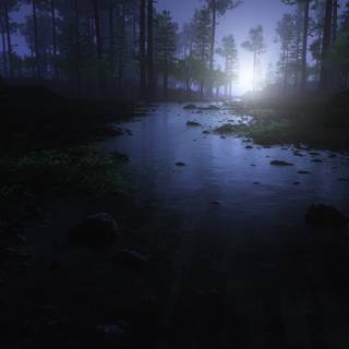 Digital forest wallpaper