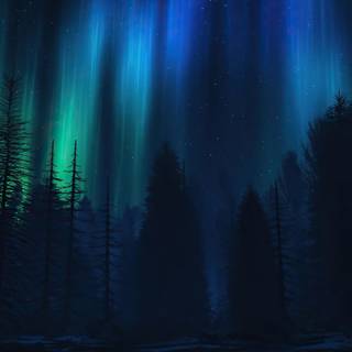 Digital forest wallpaper