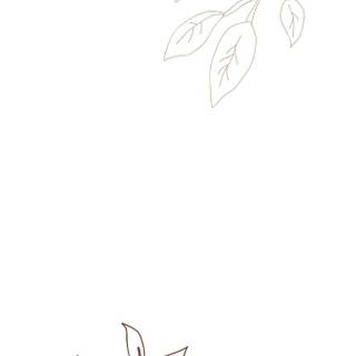 White pastel wallpaper