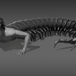 The Human Centipede wallpaper