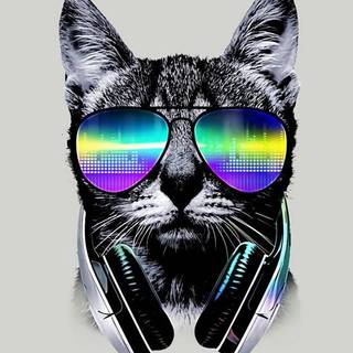Cat DJ wallpaper