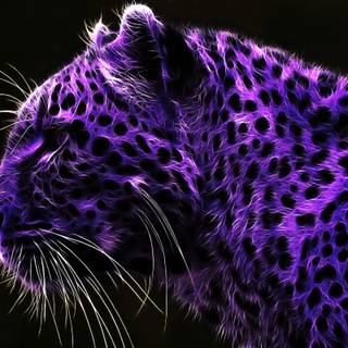 Purple tigers wallpaper