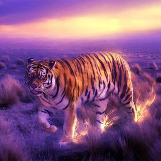 Purple tigers wallpaper