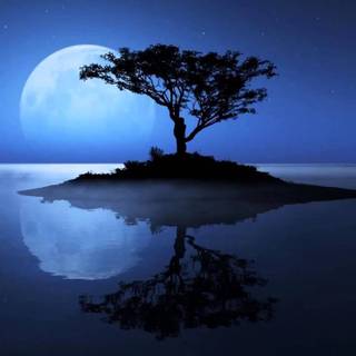 Calm night wallpaper