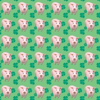 Ugly pigs wallpaper